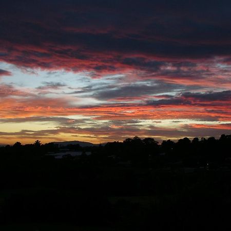 Eagle'S View Cottage - Yarra Valley Exterior foto